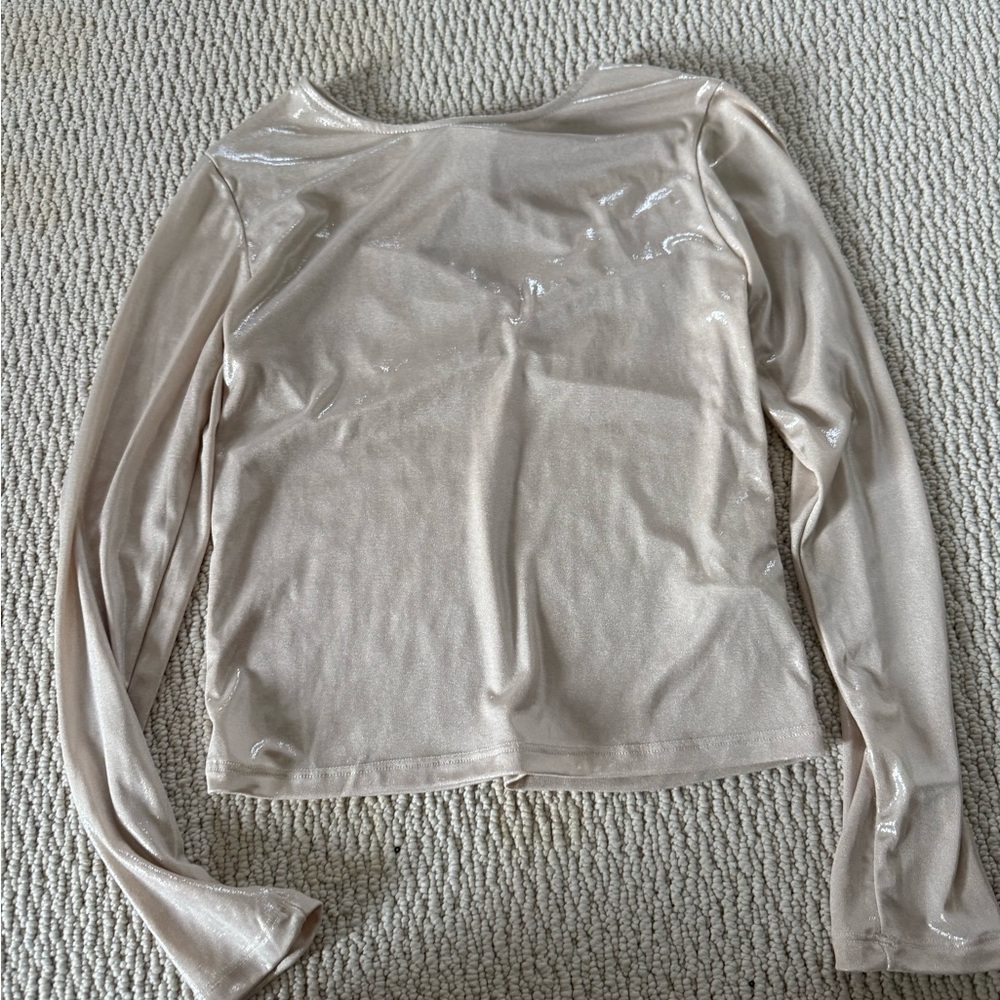 Zara Shimmery Long-Sleeve Crewneck Top in Light Beige